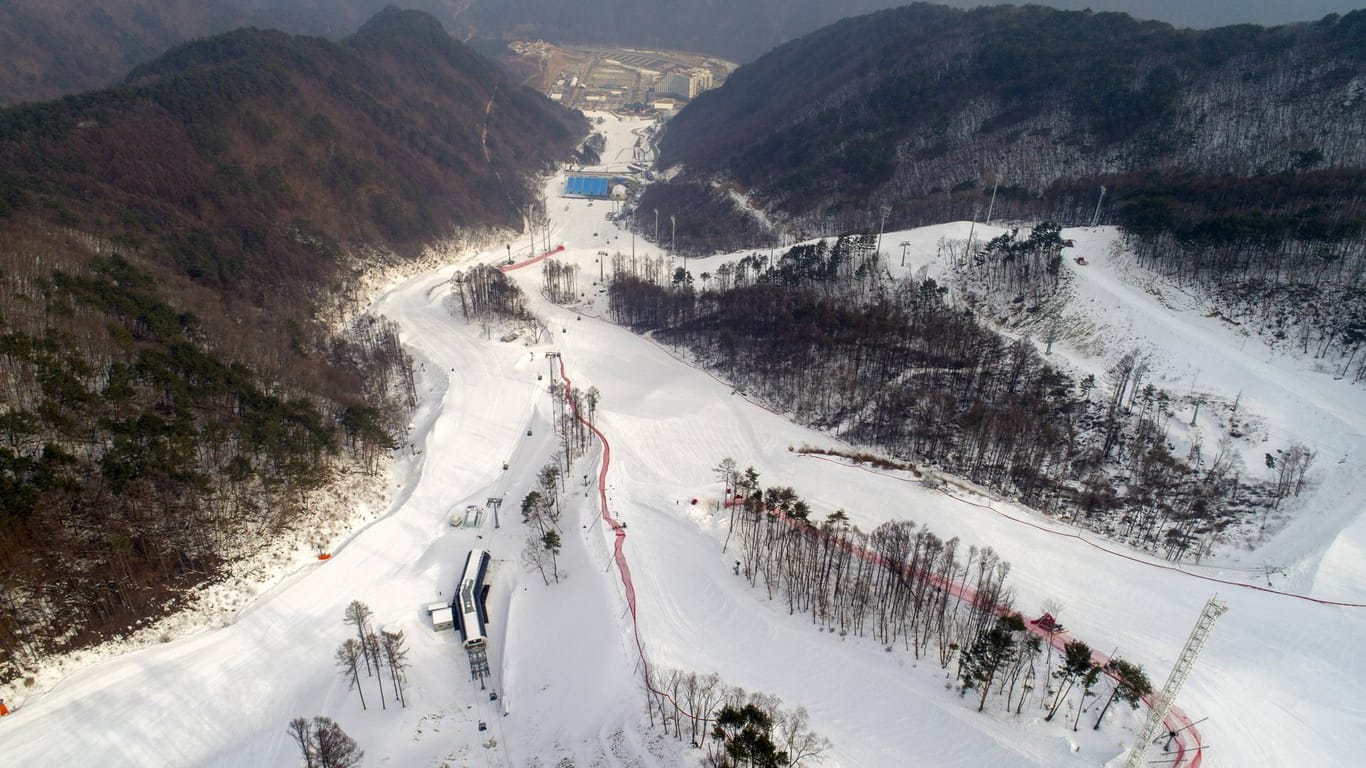 Die olympische Abfahrtsstrecke in Jeongseon: Umweltaktivisten kritisieren die Rodung des historischen Waldes.