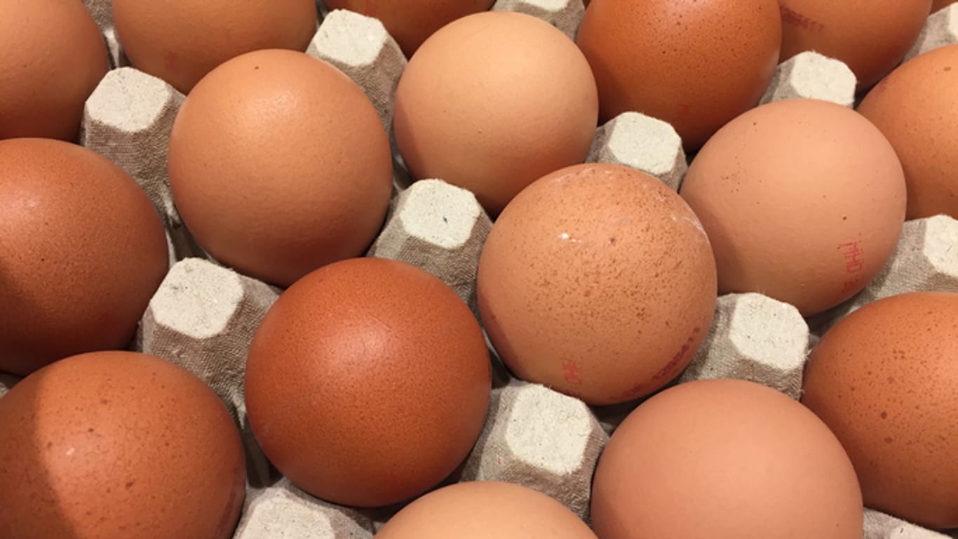 Geflügelhof Ertl ruft Eier aus Bodenhaltung via Rewe und Edeka zurück.