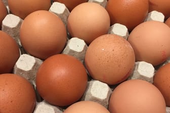 Geflügelhof Ertl ruft Eier aus Bodenhaltung via Rewe und Edeka zurück.