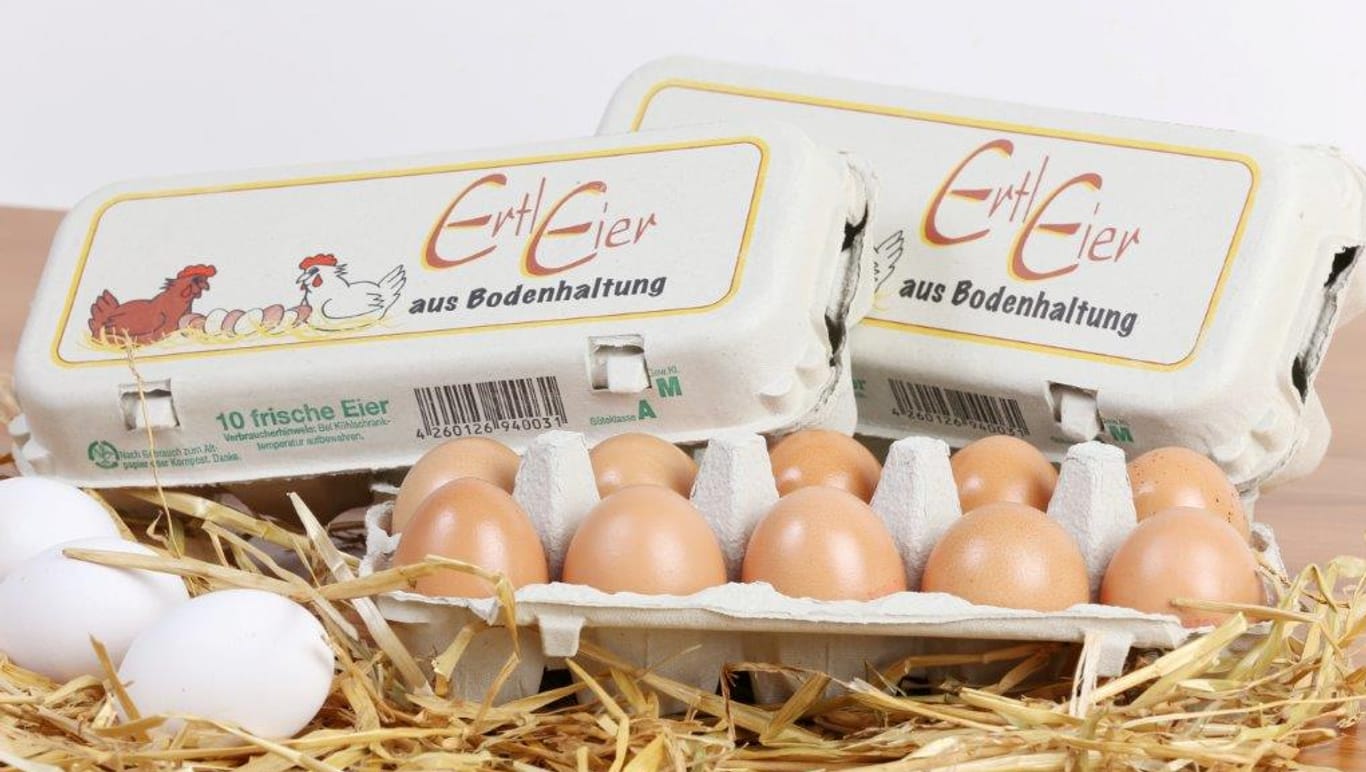 Zehn Eier in der Schale: Der Geflügelhof Ertl KG ruft Hühnereier Güteklasse A, Gewichtsklasse M aus Bodenhaltung wegen einer Bakterienbelastung zurück.