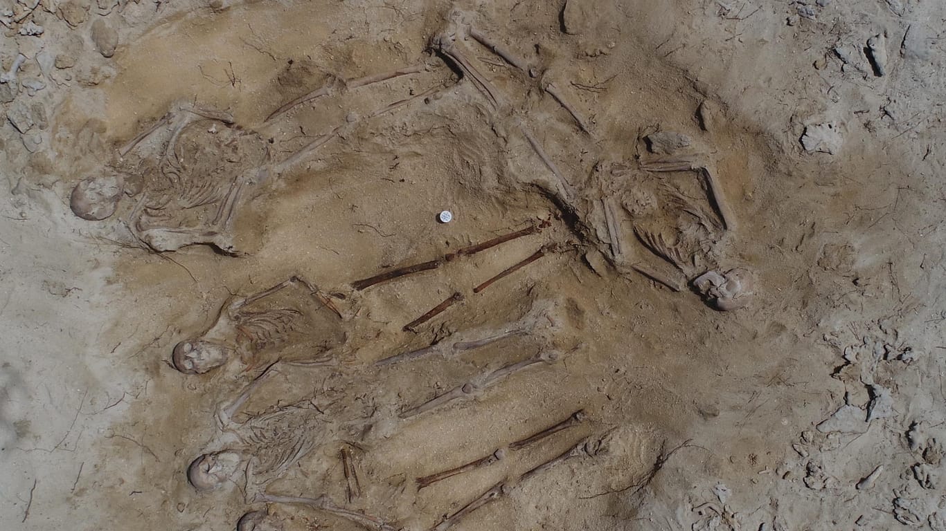 Skelette im Sand von Beacon Island: Anhand der Knochenfunde lässt sich der Ablauf des Massakers rekonstruieren.