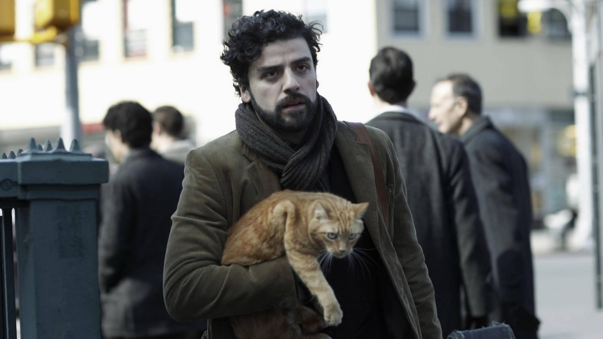 Folkmusiker Llewyn Davis (Oscar Isaac) fragt sich, was er mit dem Rest seines Lebens noch anfangen soll – vielleicht hat die Katze eine Antwort.