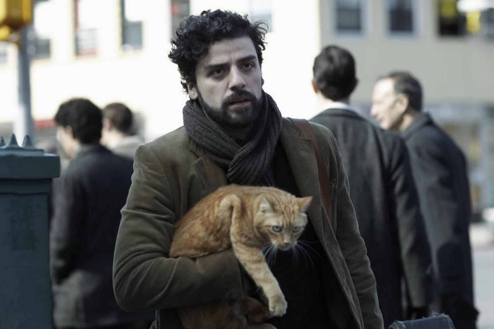 Folkmusiker Llewyn Davis (Oscar Isaac) fragt sich, was er mit dem Rest seines Lebens noch anfangen soll – vielleicht hat die Katze eine Antwort.