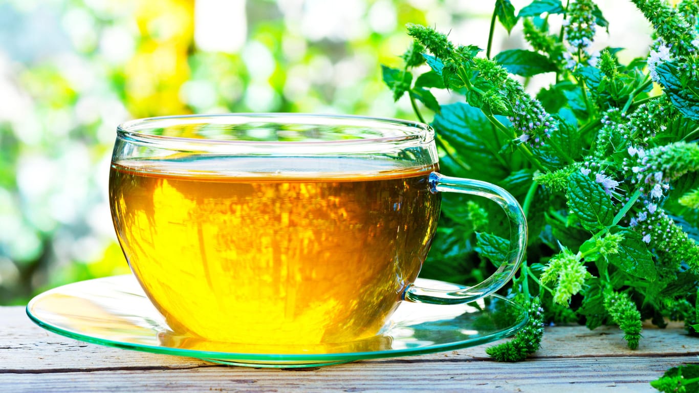 Kräutertee: Pfanzengifte im Tee können zu Leberschädigungen und Leberkrebs führen. (Symbolbild)