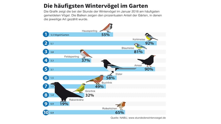 Ergebnis der Nabu-Zählaktion: Die Grafik zeigt die zehn häufigsten Wintervögel und ihre Verbreitung in Gärten und Parks.