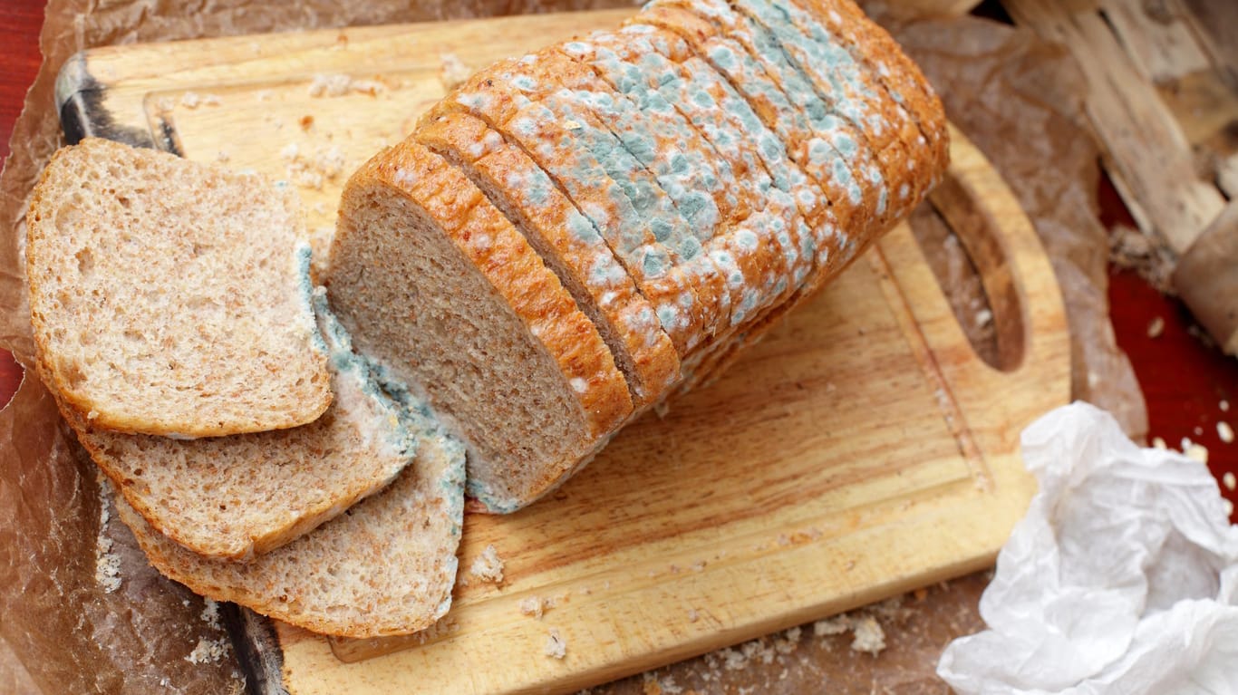 Schimmeliges Brot: Die Hygienezustände in einigen Produktionsbetrieben von Lebensmitteln lassen Kontrollen zufolge zu wünschen übrig.