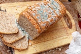 Schimmeliges Brot: Die Hygienezustände in einigen Produktionsbetrieben von Lebensmitteln lassen Kontrollen zufolge zu wünschen übrig.