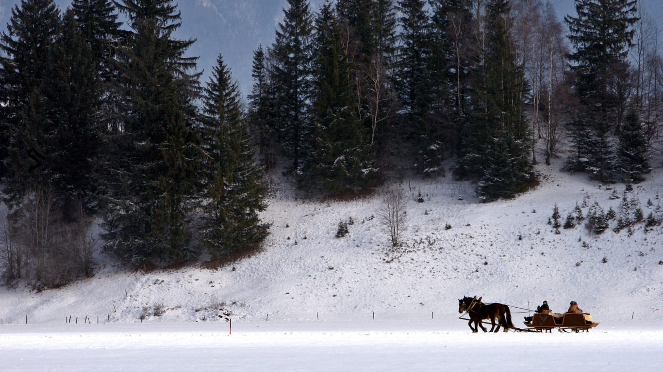 Ein Pferdeschlittenausflug im Schnee: Bei einem Unglück mit einem Pferdeschlitten sind im Erzgebirge zwei Menschen ums Leben gekommen. (Symbolbild)