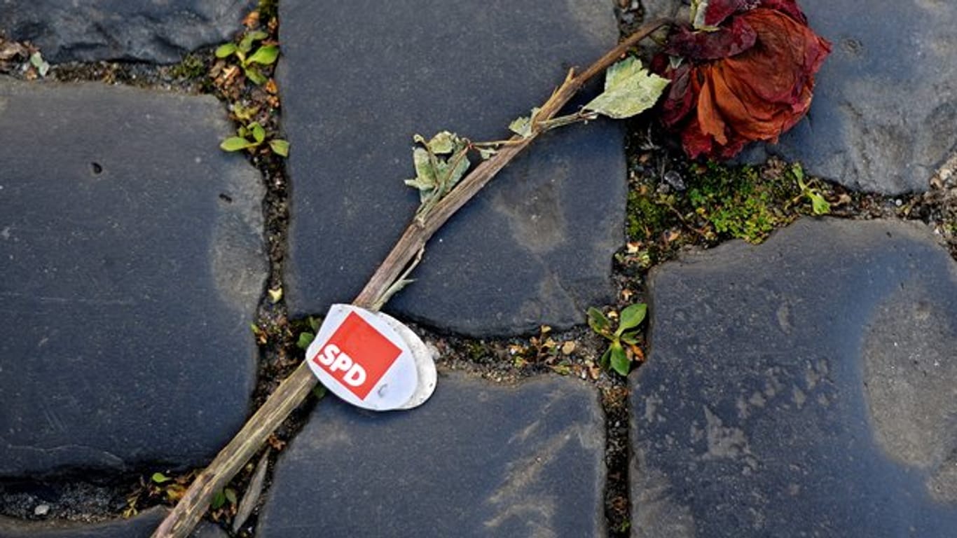 Eine verwelkte Wahlkampf-Rose der SPD - Sinnbild für den Zustand einer Volkspartei außer Dienst.