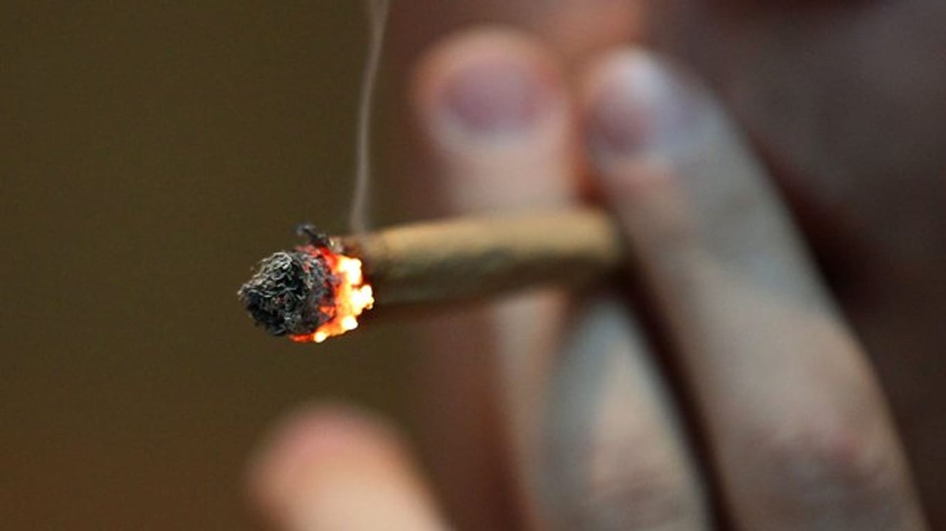 Kein Bedürfnis nach einem Joint: 68 Prozent geben an, Cannabis noch nie konsumiert zu haben.
