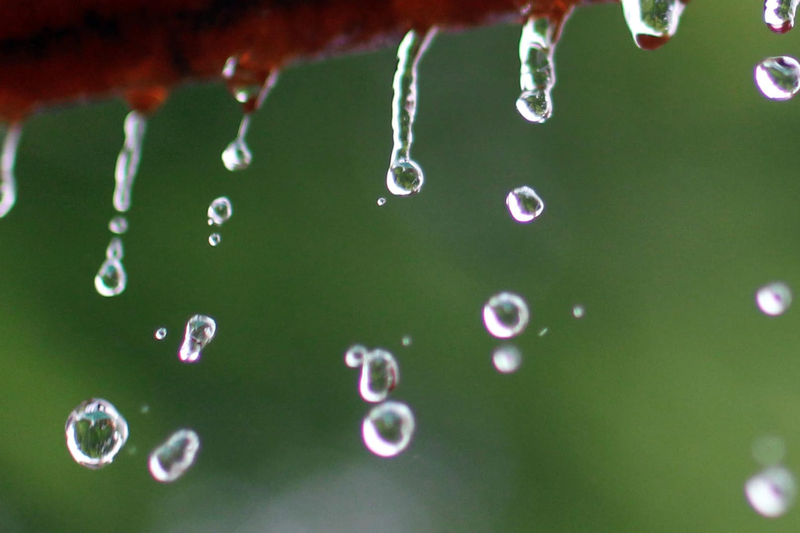 Regen tropft vom Dach: Wenn der Regen vom Himmel fällt, kann das für Hausbesitzer teuer werden. Grund sind die Niederschlagswassergebühren.