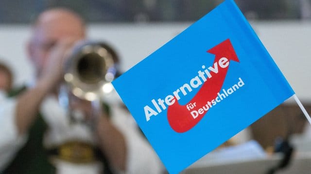 Ein Fähnchen der AfD.