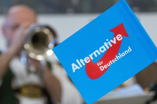 Ein Fähnchen der AfD.