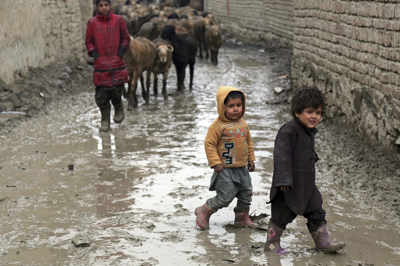 Kinder in der afghanischen Hauptstadt Kabul: nur im Nachbarland Pakistan ist die Kindersterblichkeit noch höher als in Afghanistan.