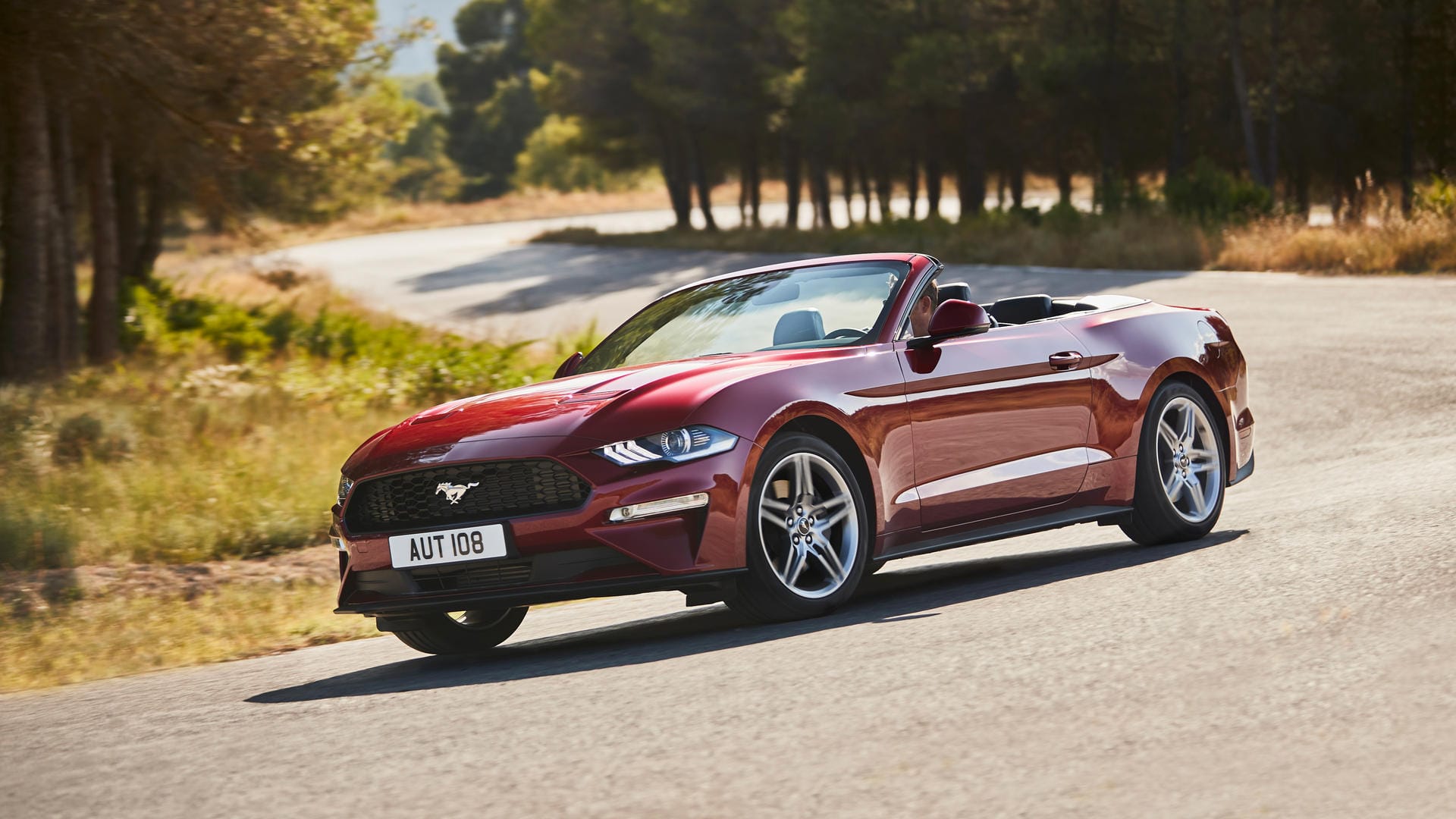 Ford Mustang Cabrio: 2017 waren insgesamt rund 2,12 Millionen Cabrios in Deutschland zugelassen. 2018 gibt es viele neue Modelle.