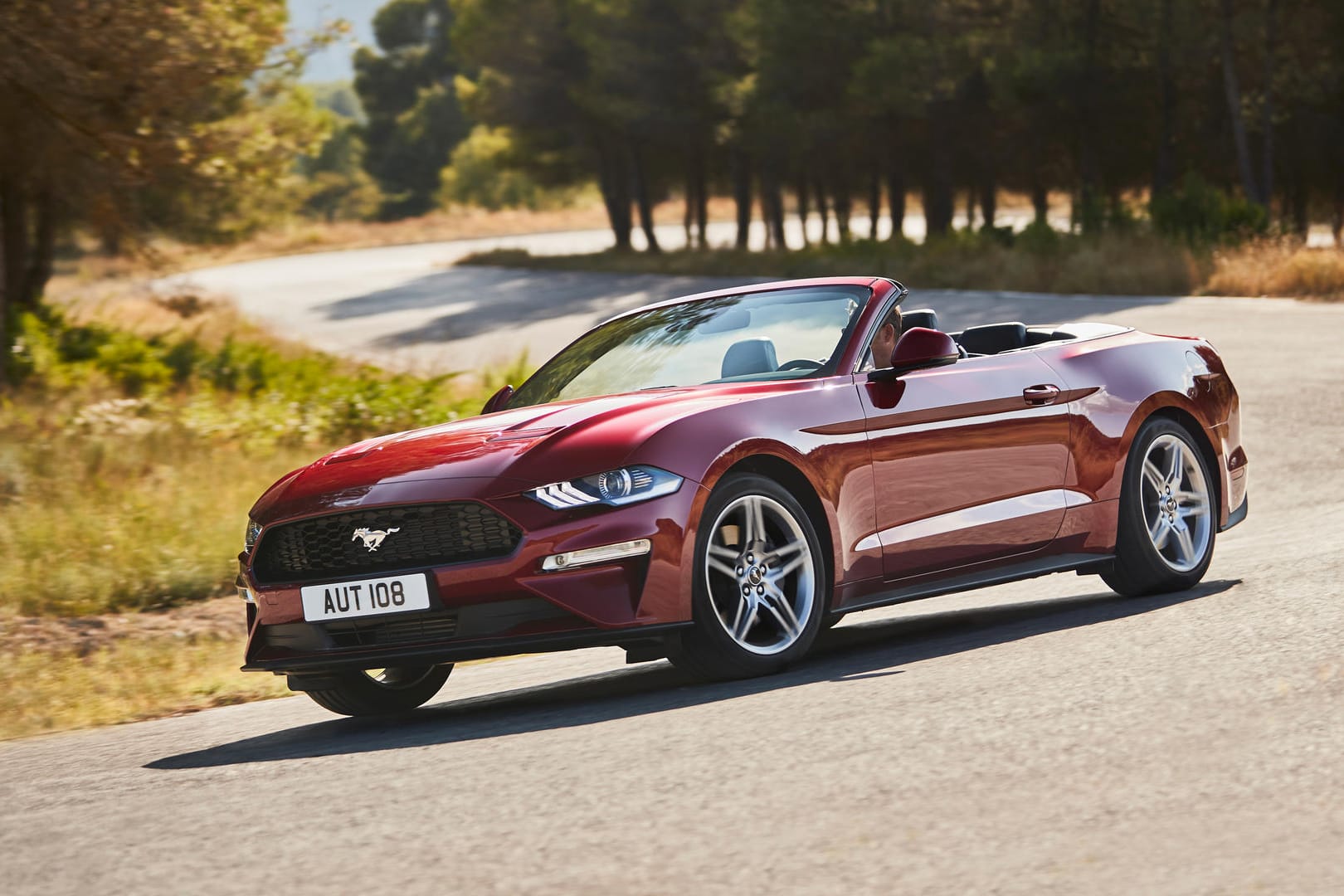 Ford Mustang Cabrio: 2017 waren insgesamt rund 2,12 Millionen Cabrios in Deutschland zugelassen. 2018 gibt es viele neue Modelle.