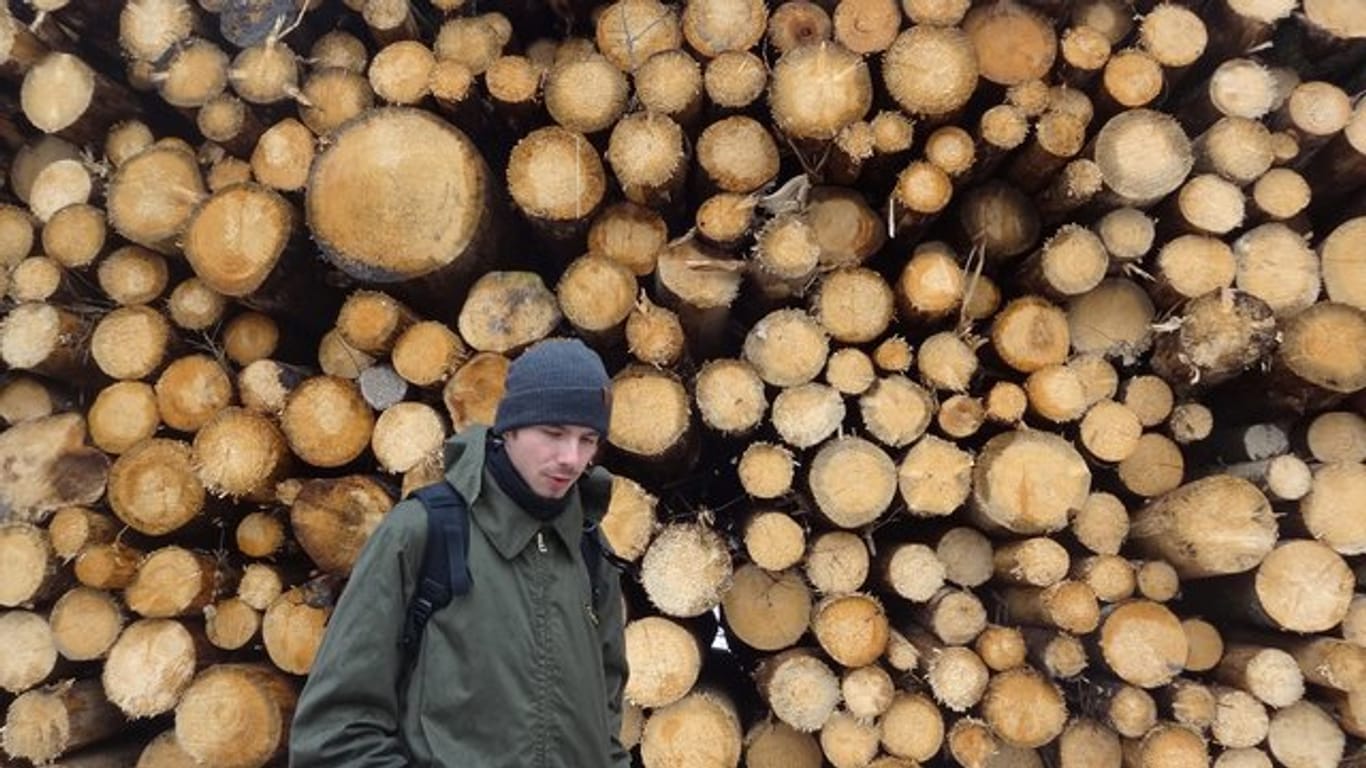 Ein Umweltaktivist setzt sich für den polnischen Wald Bialowieza ein.