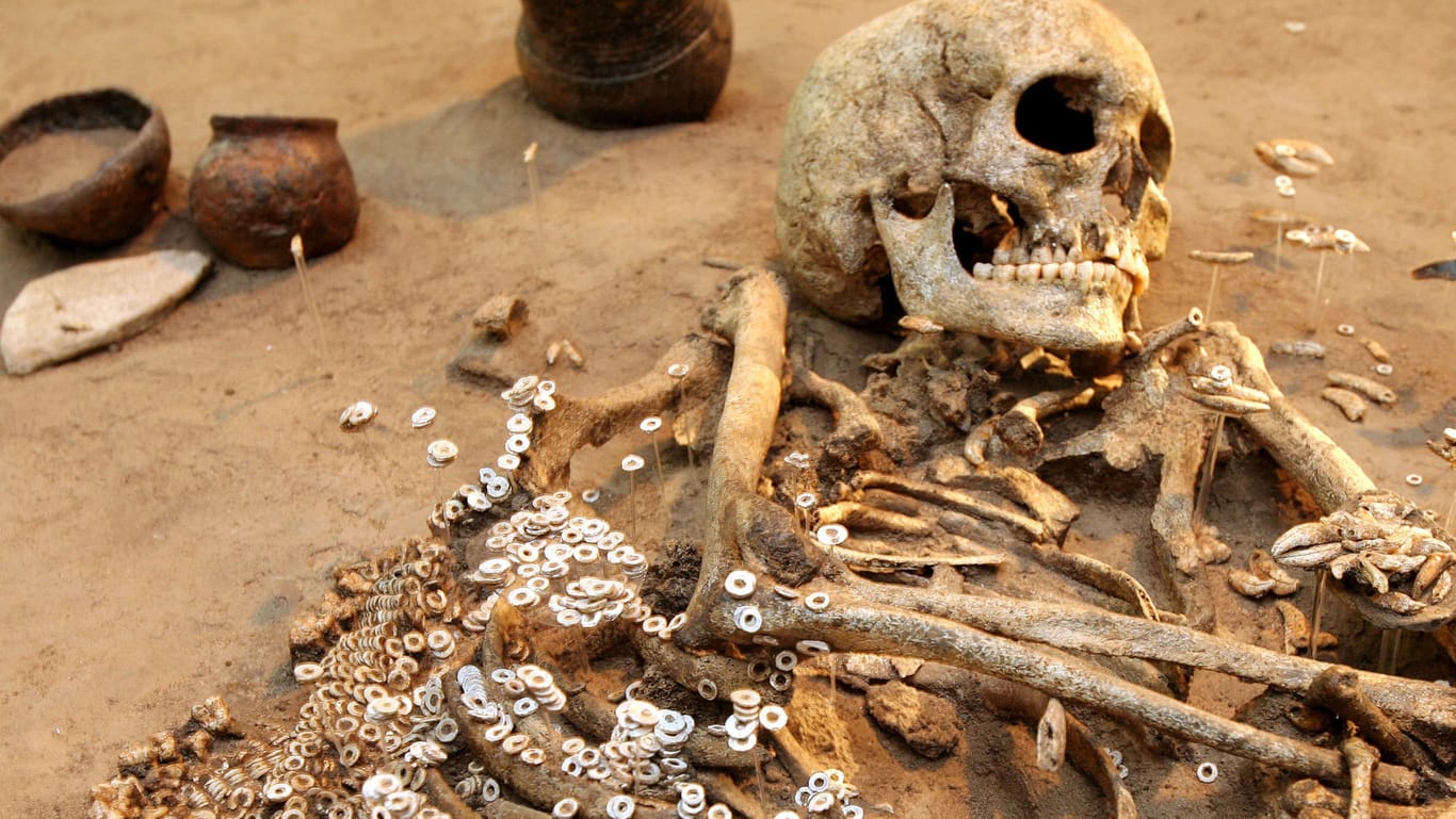 Skelett aus der Steinzeit: Durch harte Arbeit erwarben Frauen damals eine starke Muskelatur.