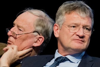 Die AfD-Bundesvorsitzenden Alexander Gauland (li.) und Jörg Meuthen: Beide können sich eine AfD-Kooperation mit Pegida vorstellen.