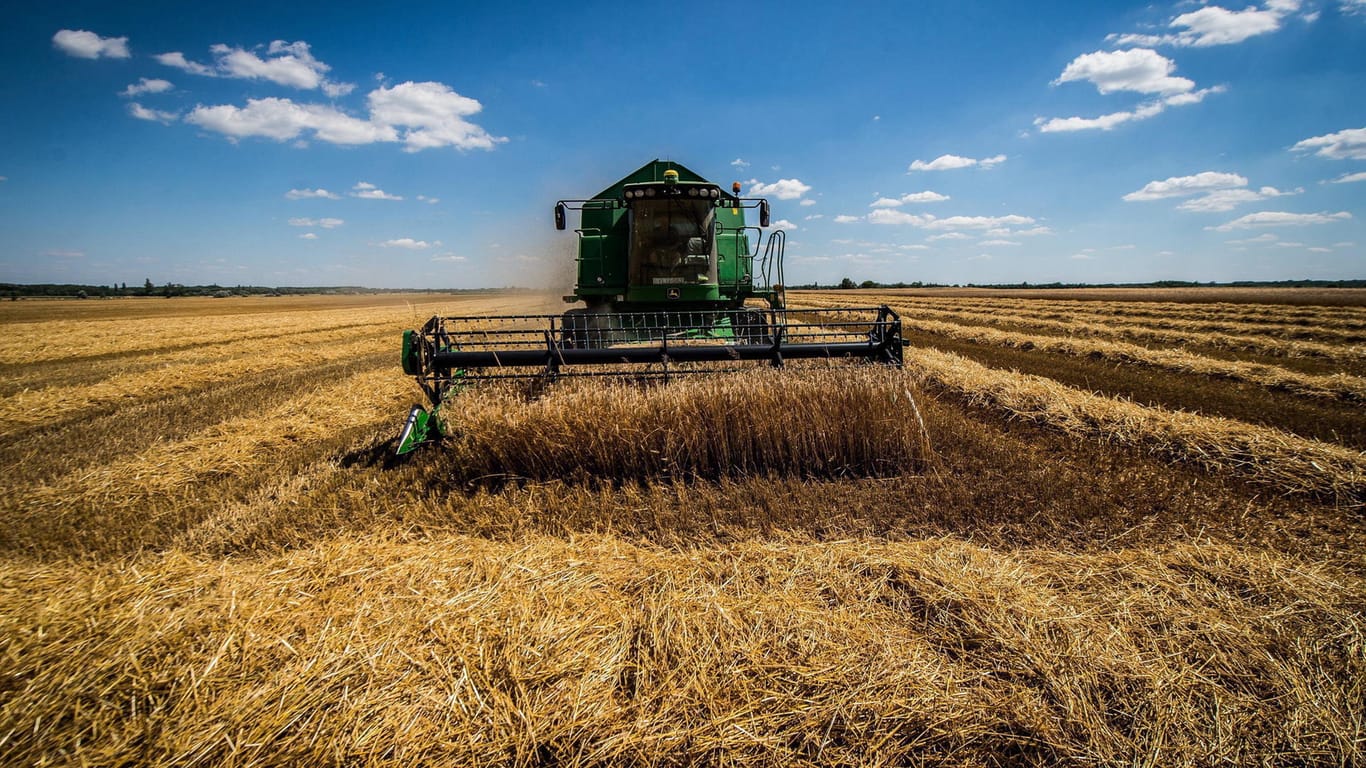 Weizenernte in Ungarn:Auch in Ungarn profitieren beispielsweise Bauern von der EU.
