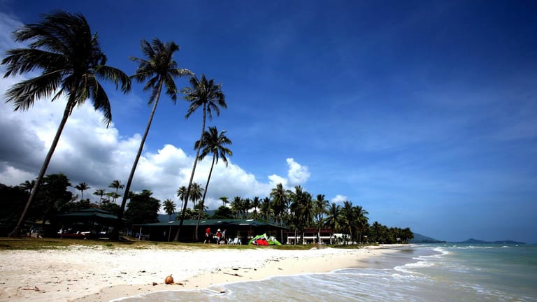 Palmen stehen am Hua Thanon Strand auf der thailändischen Ferieninsel Ko Samui: Auf der beliebten Urlaubsinsel ist ein tschechischer Tourist bei einer unerlaubten Klettertour von einem Wasserfall gestürzt und gestorben. (Archivbild)