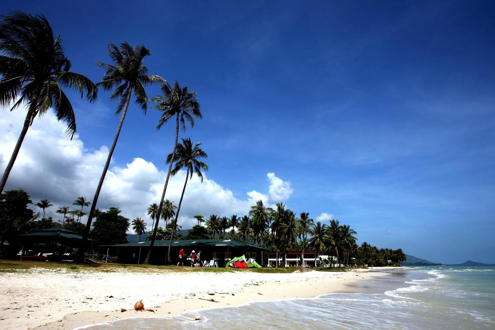 Palmen stehen am Hua Thanon Strand auf der thailändischen Ferieninsel Ko Samui: Auf der beliebten Urlaubsinsel ist ein tschechischer Tourist bei einer unerlaubten Klettertour von einem Wasserfall gestürzt und gestorben. (Archivbild)