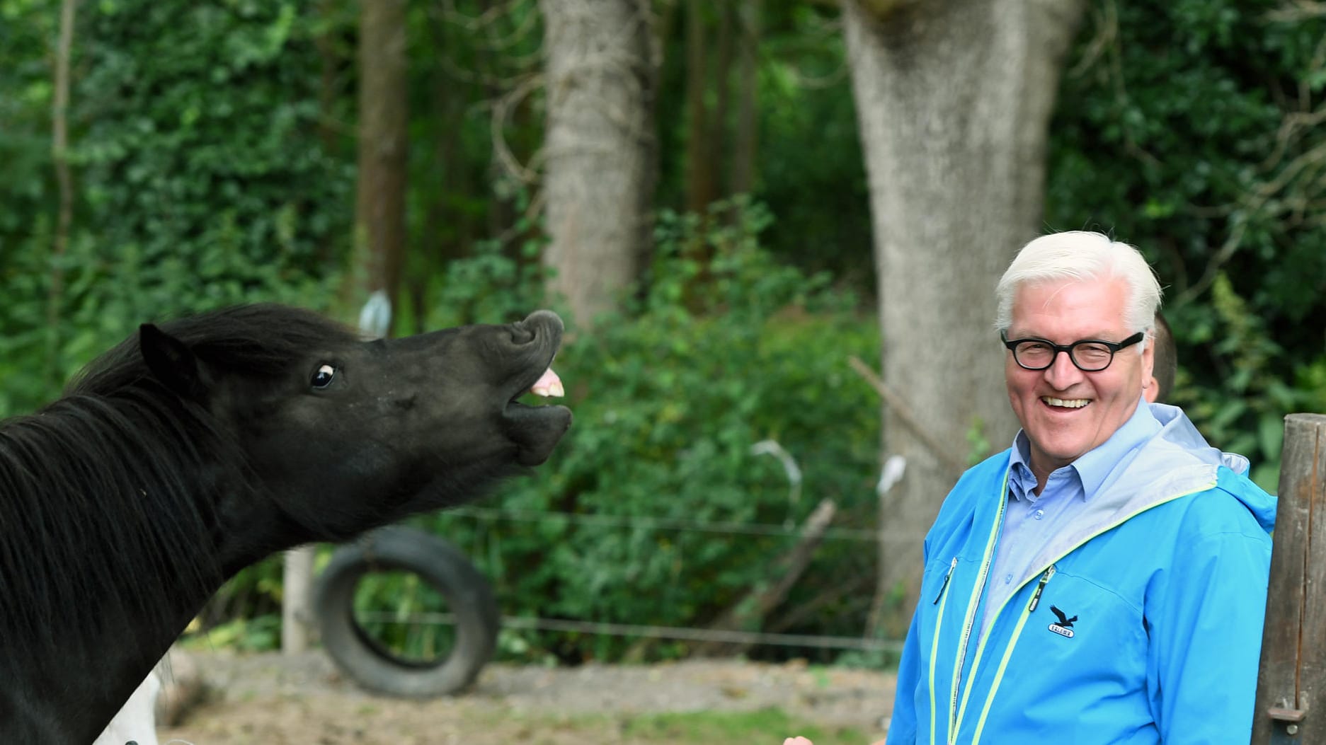 Frank-Walter Steinmeier mit Pferd in Päwesin: Der Bundespräsident hatte als Abgeordneter seinen Wahlkreis in Brandenburg. Zählt er als Vertreter des Ostens?