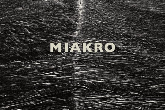 "Miakro" von Georg Klein.