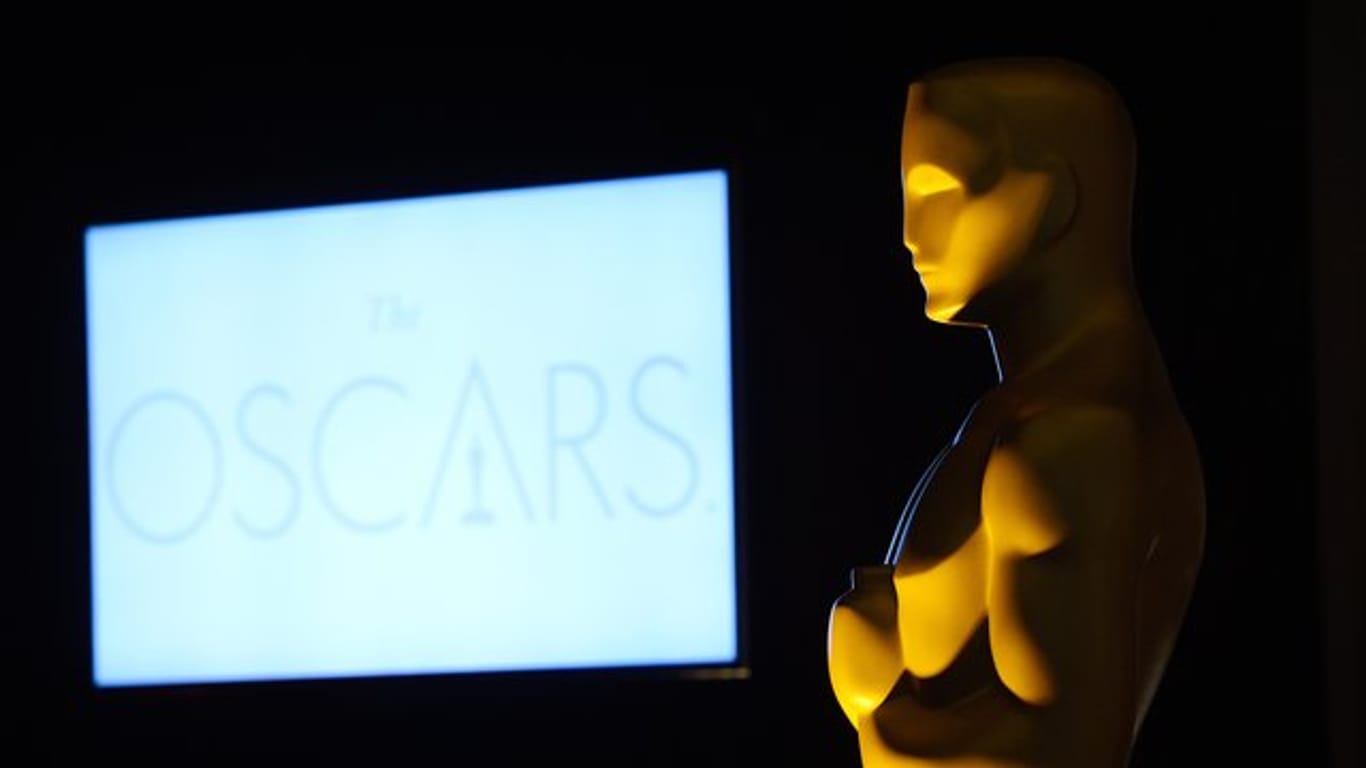 Die Oscars werden in insgesamt 24 Kategorien vergeben.