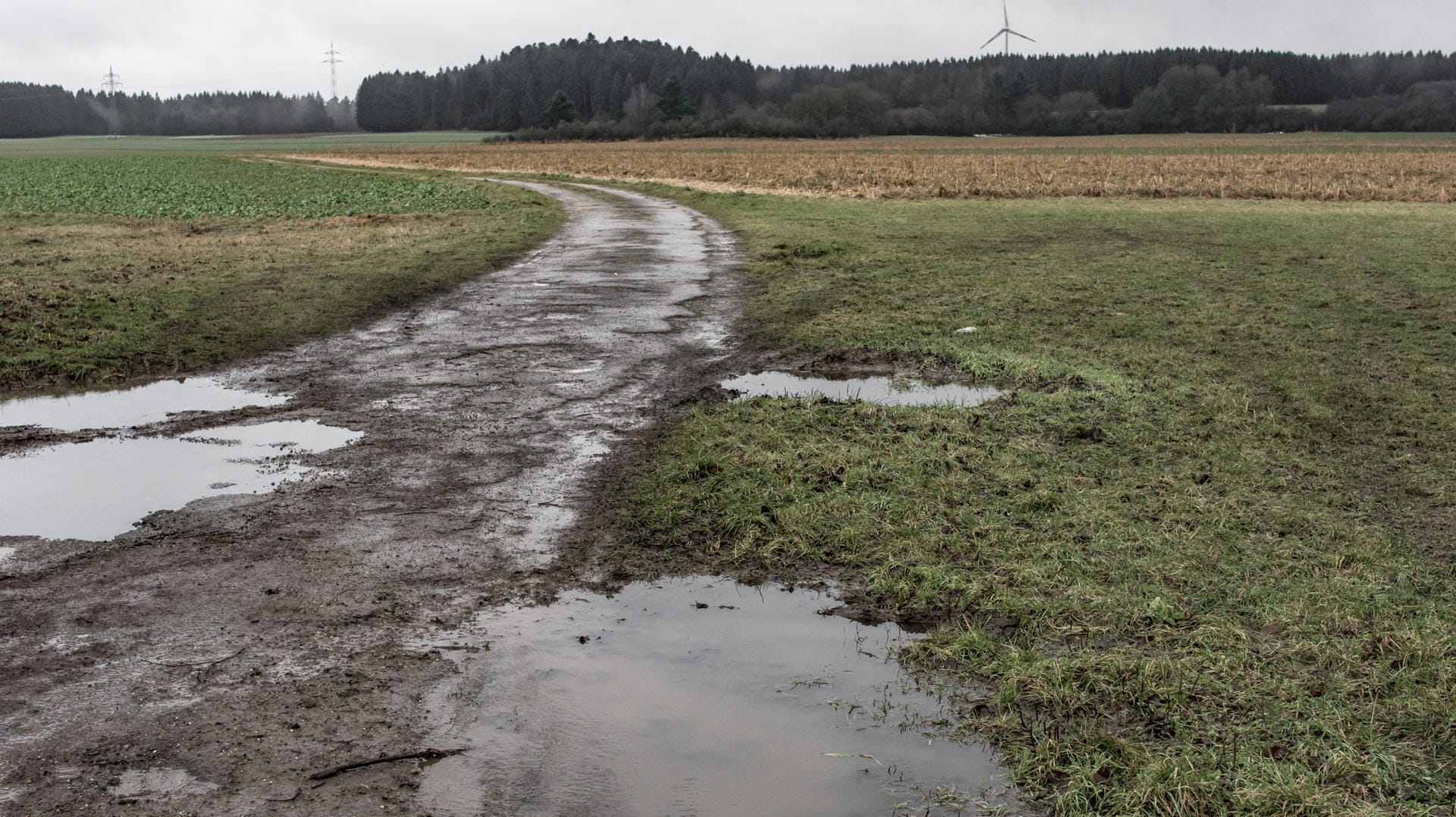 Morastiges Gebiet in Deutschland: in einer Gegend wie dieser fand ein Wanderer vergangene Woche zwei männliche Skelette in einem Sack.