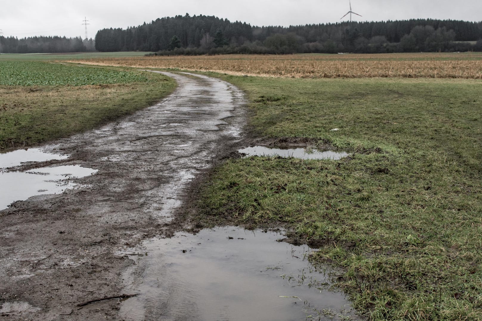 Morastiges Gebiet in Deutschland: in einer Gegend wie dieser fand ein Wanderer vergangene Woche zwei männliche Skelette in einem Sack.