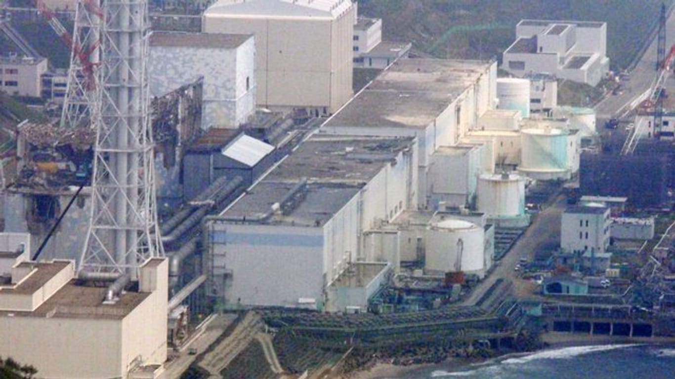 Im März 2011 war es in Folge eines schweren Erdbebens und Tsunamis zum Gau im Atomkraftwerk Fukushima gekommen.