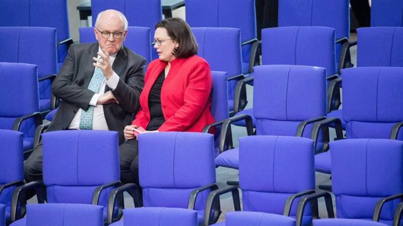 Werden die beiden in einer großen Koalition zusammenarbeiten? Volker Kauder, Unions-Fraktionsvorsitzender, und die designierte SPD-Chefin Andrea Nahles im Bundestag.