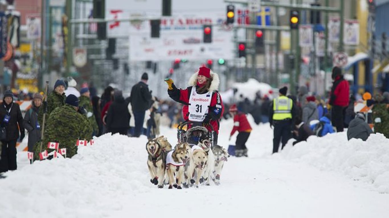 Schlittenführerin Aliy Zirkle und ihre Hunde beim zeremoniellen Start des Iditarod-Hundeschlittenrennens in Anchorage.