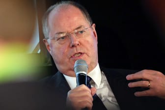 Der frühere Finanzminister und Kanzlerkandidat Peer Steinbrück: Der SPD-Politiker hat das "Elend" seiner Partei in einem Buch analysiert.