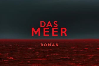 Wolfram Fleischhauers Öko-Thriller "Das Meer".