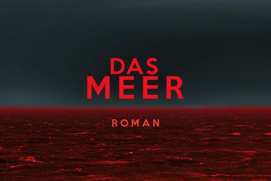 Wolfram Fleischhauers Öko-Thriller "Das Meer".