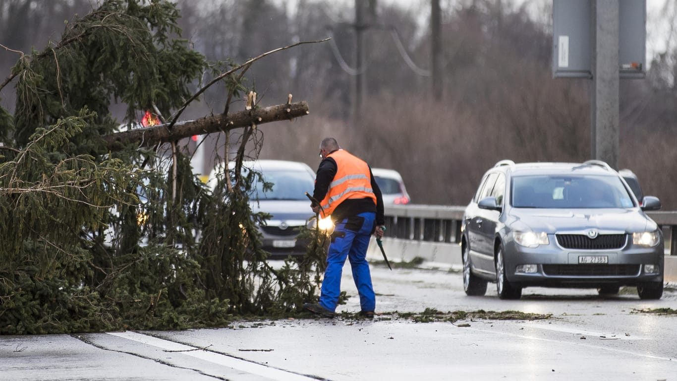 Straßenarbeiter beseitigen nach dem Sturmtief "Burglind" umgestürzte Bäume: In Deutschland wird es öfter zu extremen Wetterlagen kommen, warnt der DWD.