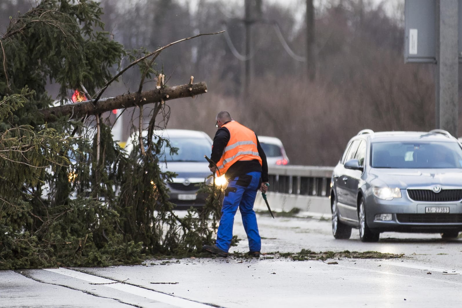 Straßenarbeiter beseitigen nach dem Sturmtief "Burglind" umgestürzte Bäume: In Deutschland wird es öfter zu extremen Wetterlagen kommen, warnt der DWD.