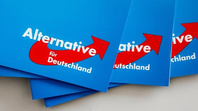 Eine Delegation von AfD-Politikern ist nach Syrien gereist.