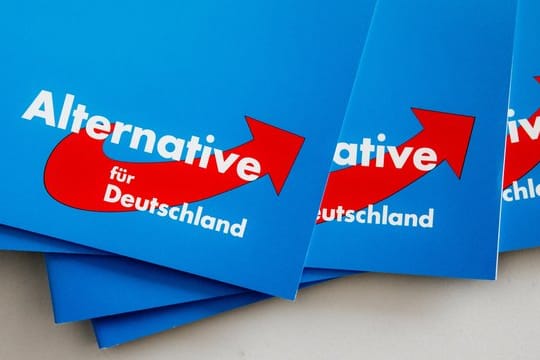 Eine Delegation von AfD-Politikern ist nach Syrien gereist.