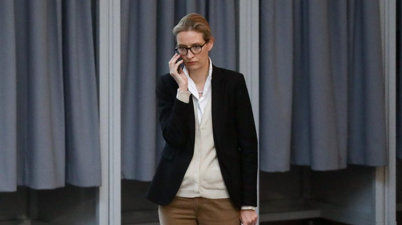 Alice Weidel im Bundestag: Die Fraktionschefin der AfD holt sich Rat beim ehemaligen Trump-Kampagnenchef Steve Bannon.
