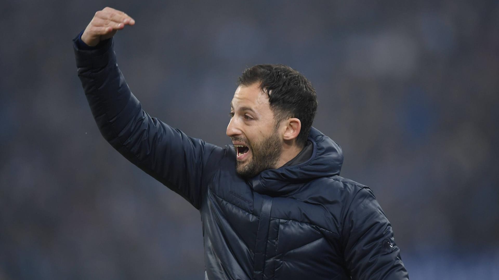 Kam selbst aus der zweiten Liga von Erzgebirge Aue zum FC Schalke: Trainer Domenico Tedesco. Kam selbst aus der zweiten Liga von Erzgebirge Aue zum FC Schalke: Trainer Domenico Tedesco.