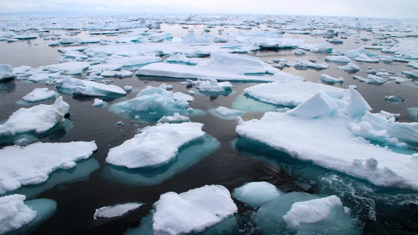 Arktisches Meereis in der Framstraße zwischen Ostgrönland und Spitzbergen: Forscher messen niedrigsten Februarwert der Arktis-Eisdecke.