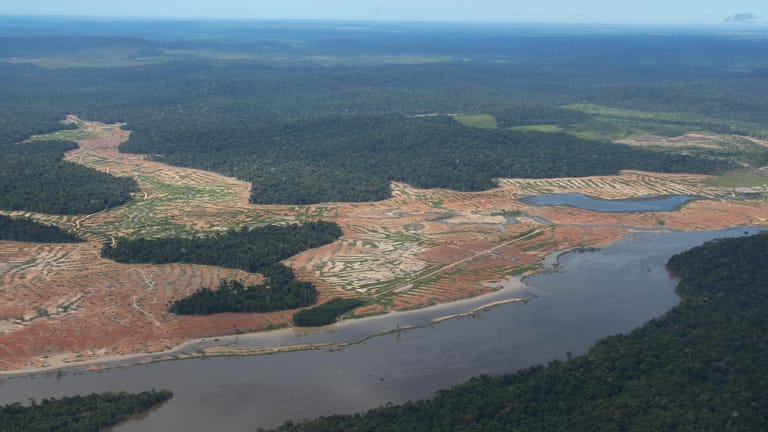 Entwaldete Waldflächen am Rande des Juruena-Nationalpark im Amazonas-Regenwald in Brasilien: das Buch des Journalisten Thomas Fischermann zeigt, was die Abholzung des Regenwaldes für indigene Völer bedeutet.