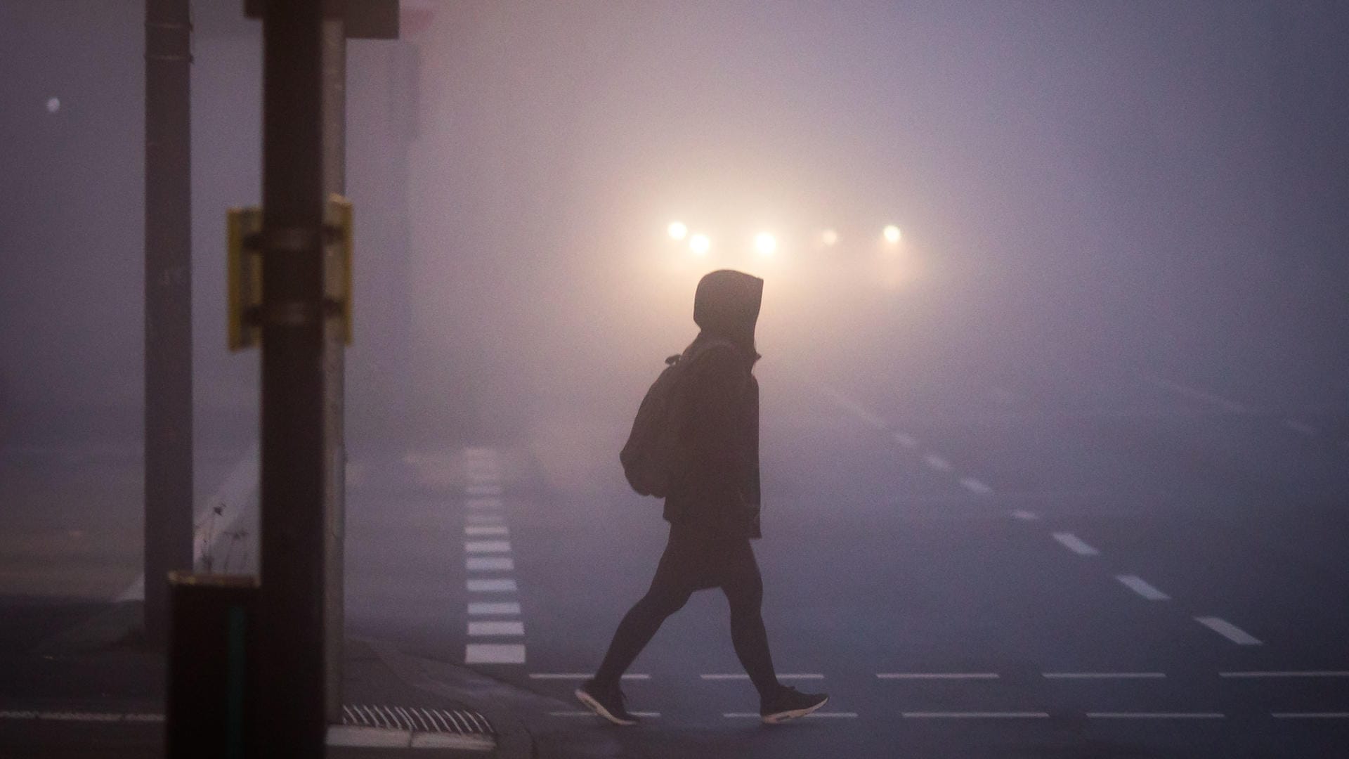 Eine Straße in Frankfurt am Main: Falsch bemessene CO2-Werte führen nicht nur zu schlechter Luft in den Städten.
