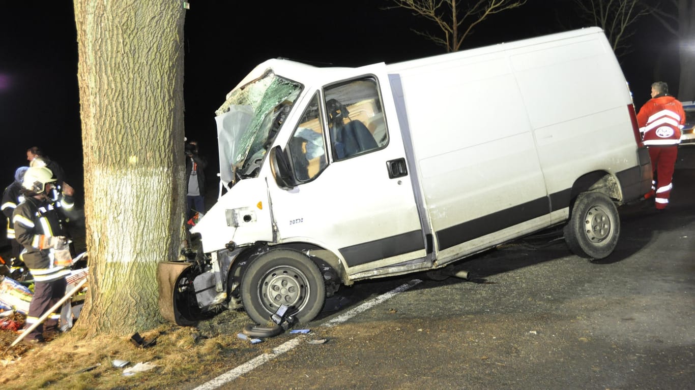 Unfall in Brandenburg: Beim Zusammenstoß eines Kleintransporters mit einem Elch sind südostlich von Berlin zwei Menschen schwer verletzt worden.