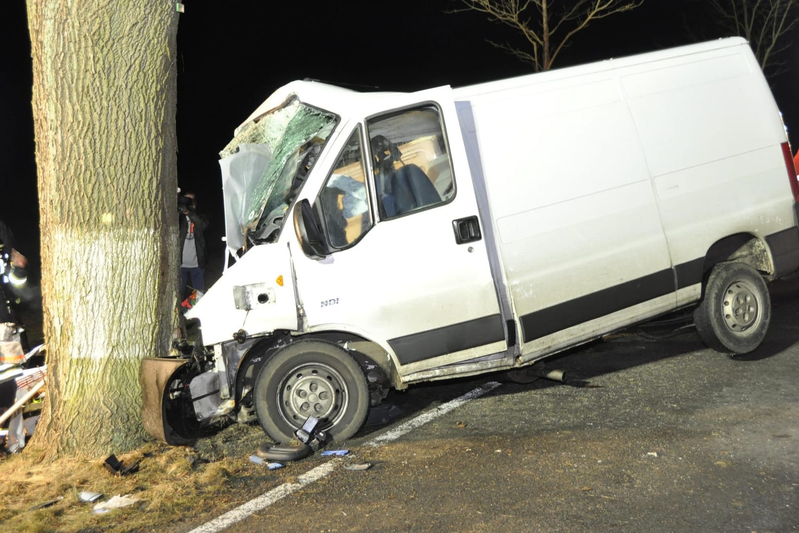 Unfall in Brandenburg: Beim Zusammenstoß eines Kleintransporters mit einem Elch sind südostlich von Berlin zwei Menschen schwer verletzt worden.