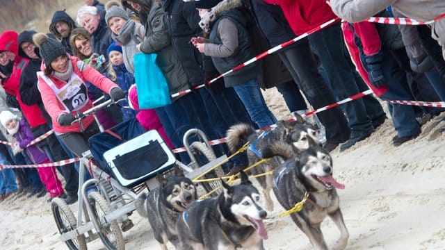 Vor einem Jahr stürzte Schauspielerin Gerit Kling beim Schlittenhunderennen auf Usedom.