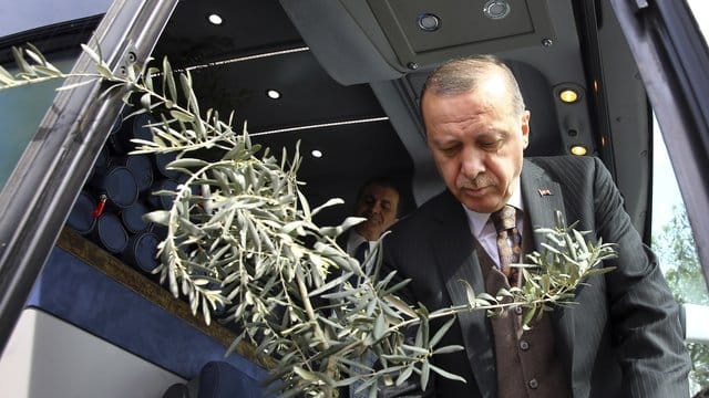 Recep Tayyip Erdogan, Präsident der Türkei, hält einen Olivenzweig in der Hand: Die türkische Militäroffensive auf Afrin trägt den Namen "Operation Olivenzweig". Recep Tayyip Erdogan, Präsident der Türkei, hält einen Olivenzweig in der Hand: Die türkische Militäroffensive auf Afrin trägt den Namen "Operation Olivenzweig".
